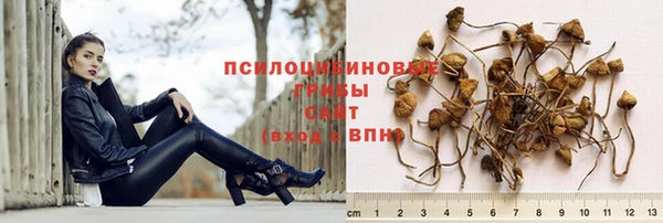 спайс Алексин