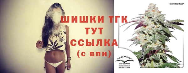 спиды Аркадак