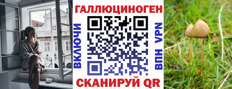 Псилоцибиновые грибы Magic Shrooms купить наркоту ссылка на мегу как войти Нея