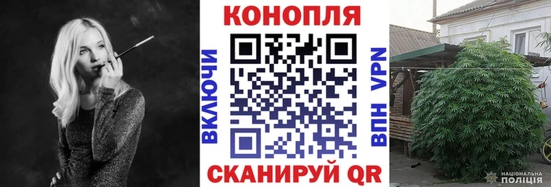Бошки Шишки индика Нея