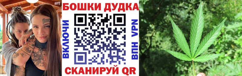 где купить наркоту  Нея  hydra   Шишки марихуана план 